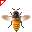 Ape - Bee