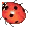 Coccinella