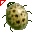 Coccinella gialla