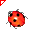 Coccinella piccola