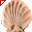 Shell.cur