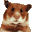 Criceto