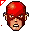 Flash
