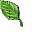 Foglia