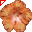 Hibiscus.cur