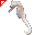 Ippocampo