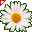 Margherita.cur