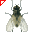 Mosca