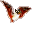 Pipistrello