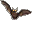 Pipistrello