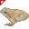 Rana