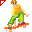 Skate Board