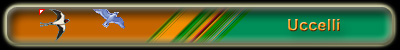 Uccelli